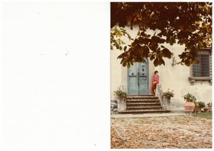 Honeybee on the front steps of Villa Mirenda